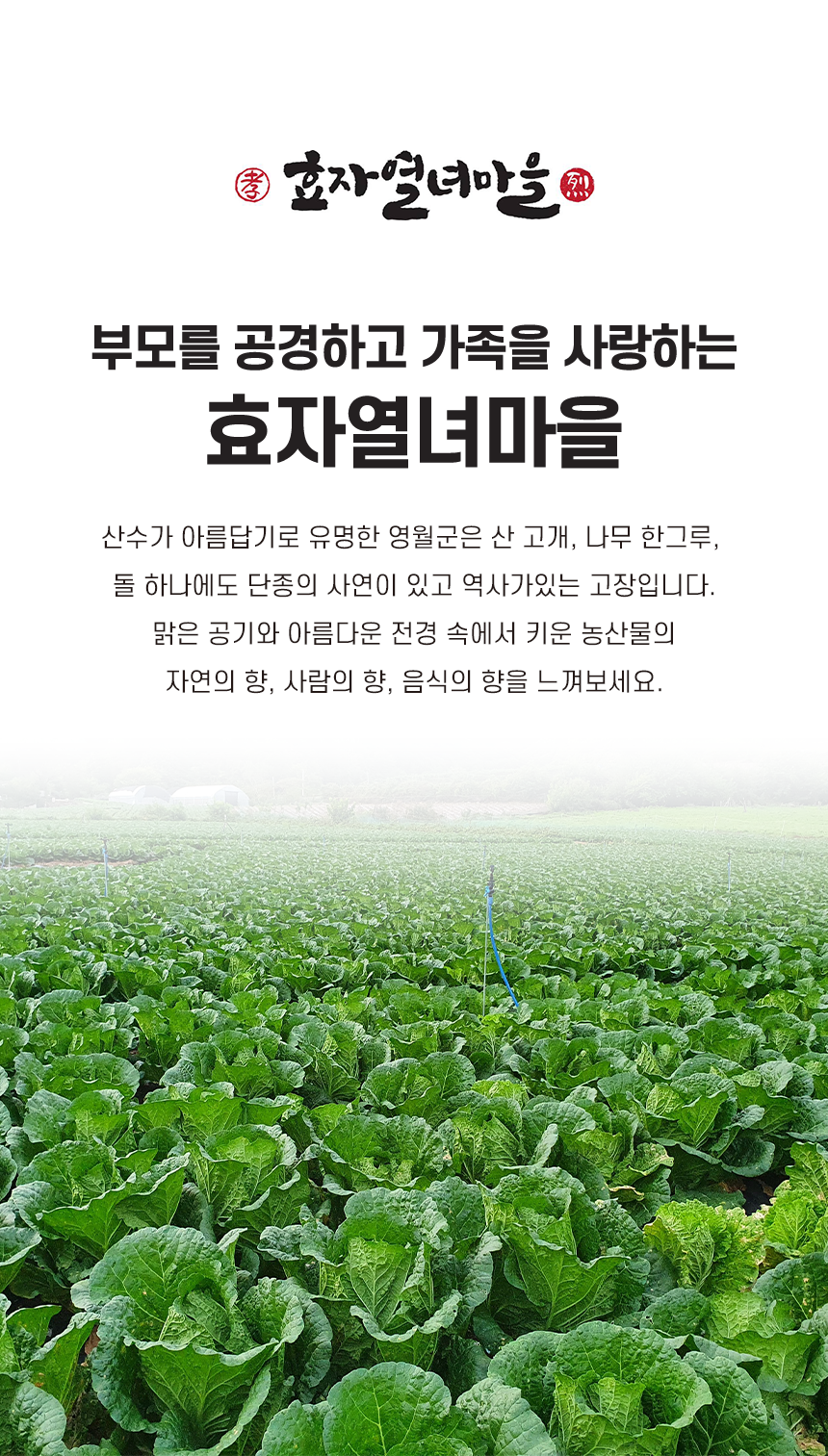 효자열녀마을 소개